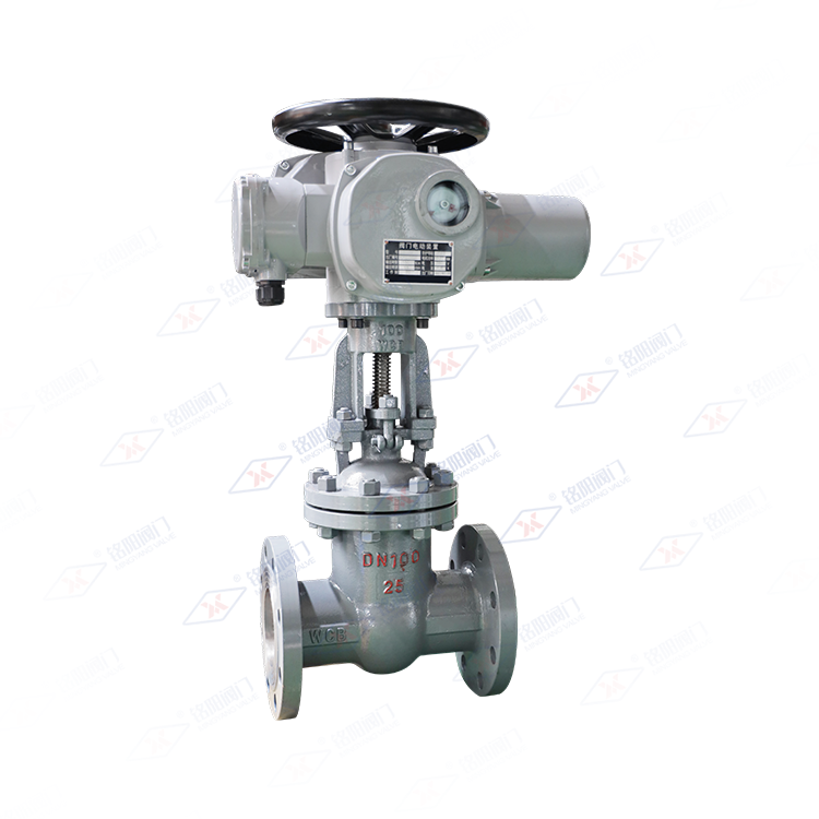 国标电动闸阀
