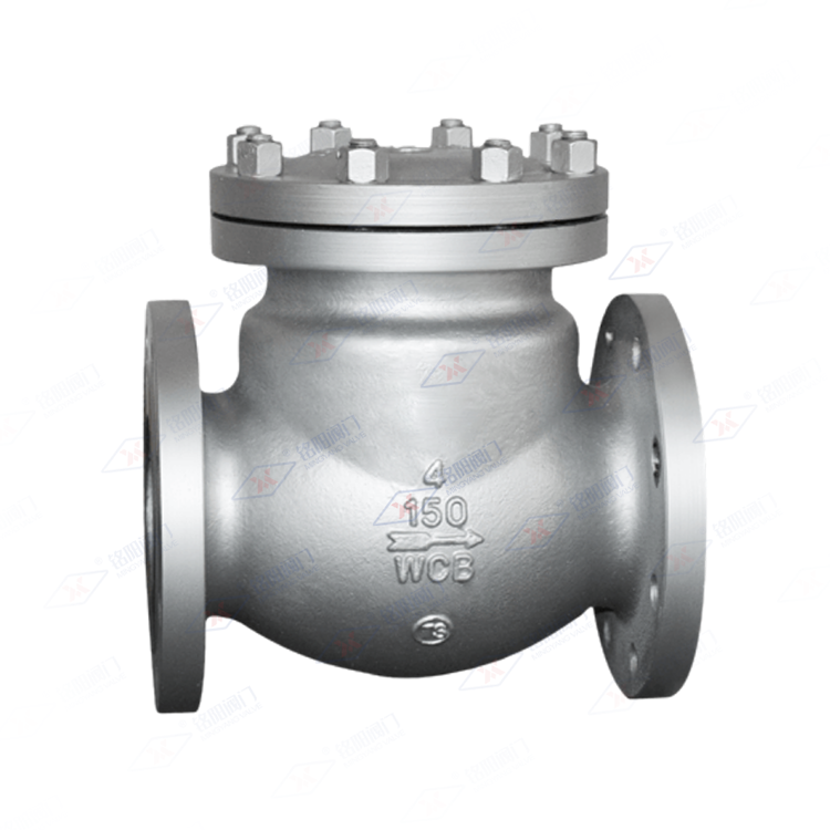 美标止回阀